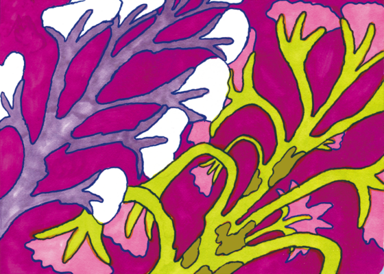 Illustration pour carte en risographie A6